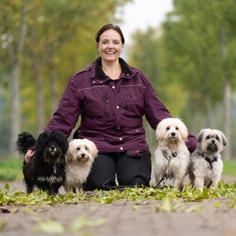 Hundetrainerin Sabine Gelz - Kleinhundeschule Bonsai